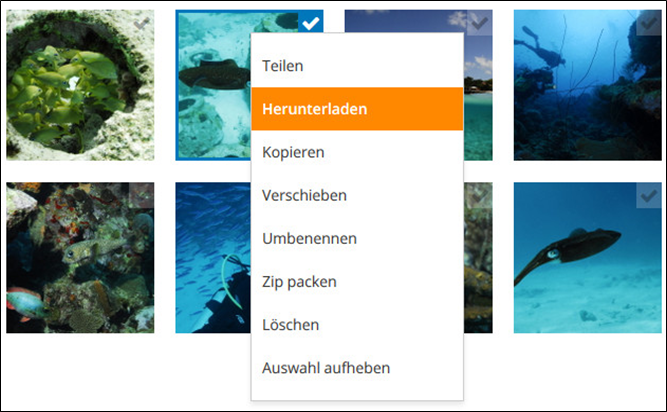 Probleml�sung bei fehlerhaften Downloads-1.png
