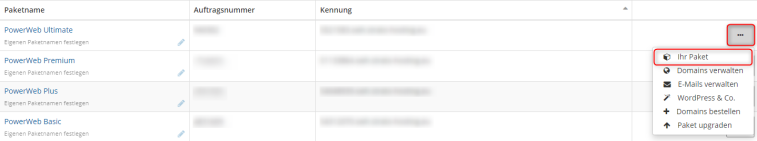Webhosting: Statistikabfrage-1.png