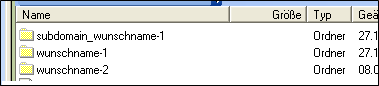 Webhosting: Domainumleitung -9.png