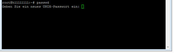 Server: Root-Passwort Reset-1.png